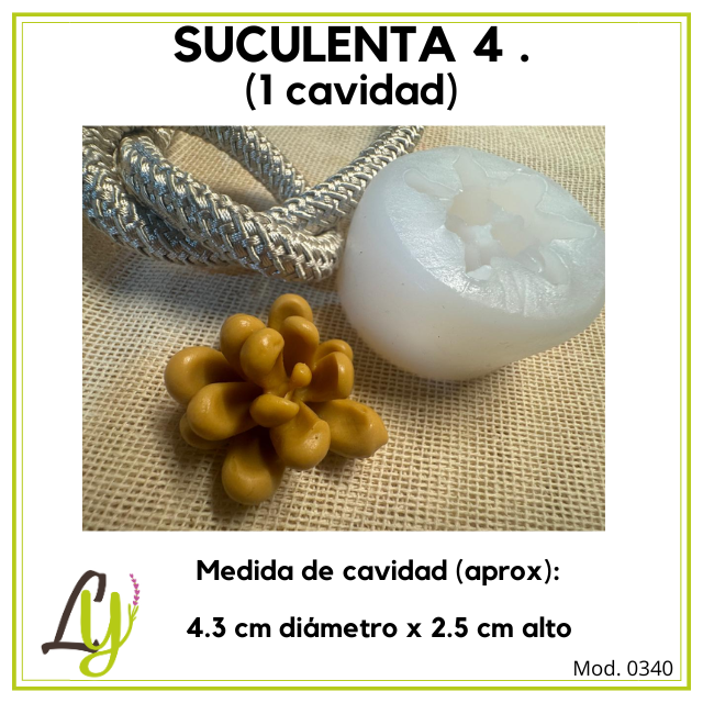 Moldes de Silicon (2)