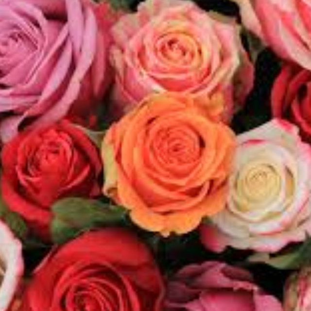 Aromas para vela