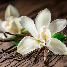 Aromas para vela