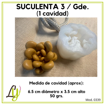 Moldes de Silicon (2)