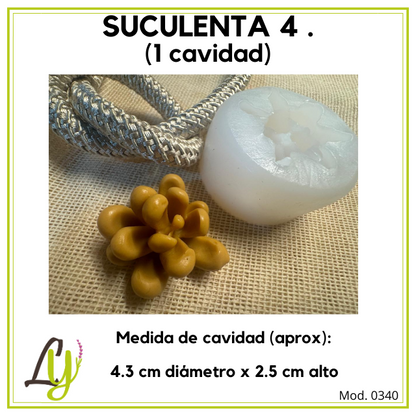 Moldes de Silicon (2)