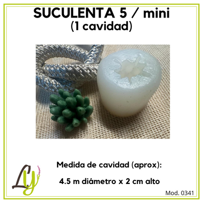 Moldes de Silicon (2)