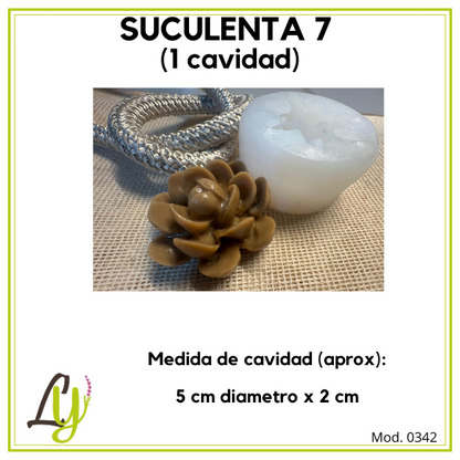 Moldes de Silicon (2)