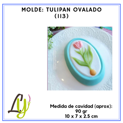 Moldes PVC cristal (2)