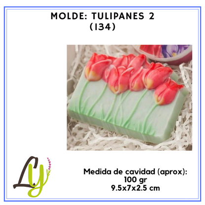 Moldes PVC cristal (2)