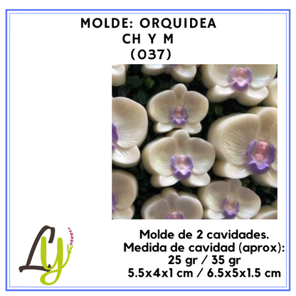 Moldes PVC cristal (2)