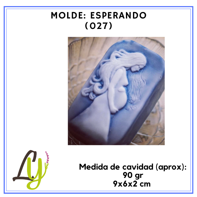 Moldes PVC cristal (1)