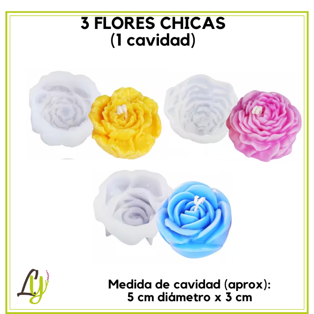 Moldes de Silicon  (1)