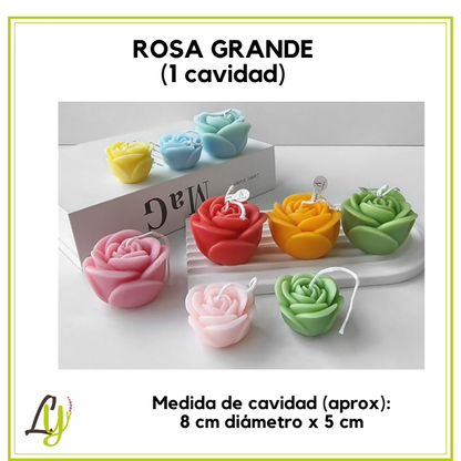 Moldes de Silicon  (1)