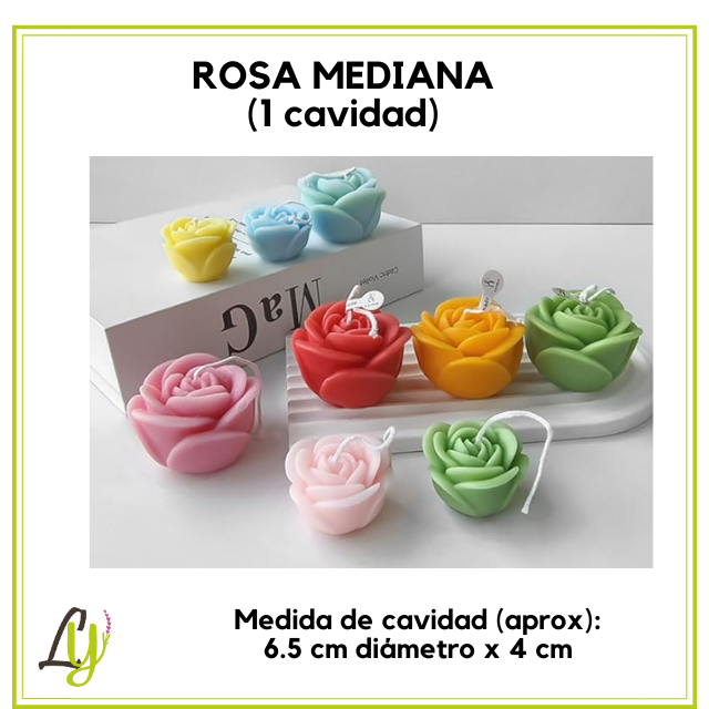 Moldes de Silicon  (1)