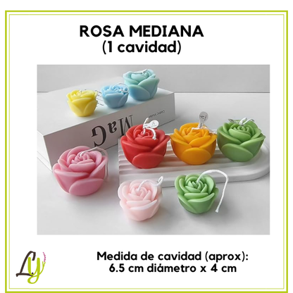 Moldes de Silicon  (1)