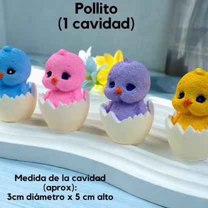 Moldes de Silicon  (1)