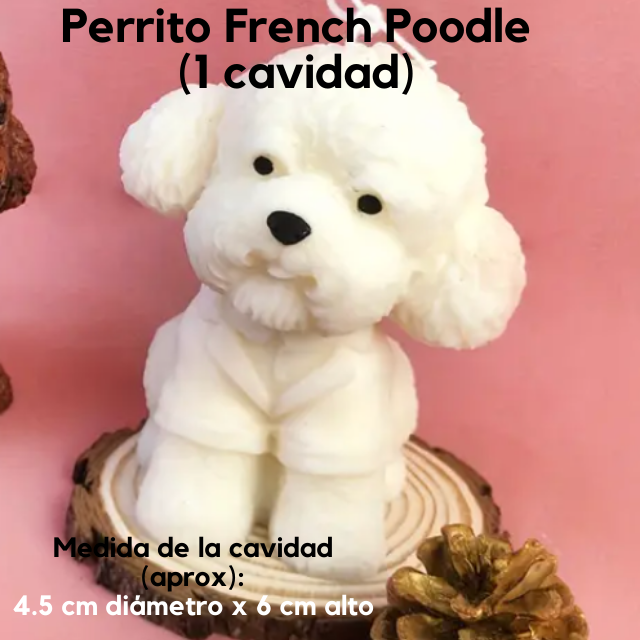 Moldes de Silicon  (1)