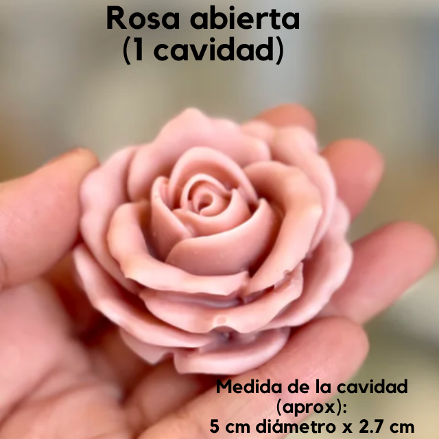 Moldes de Silicon  (1)