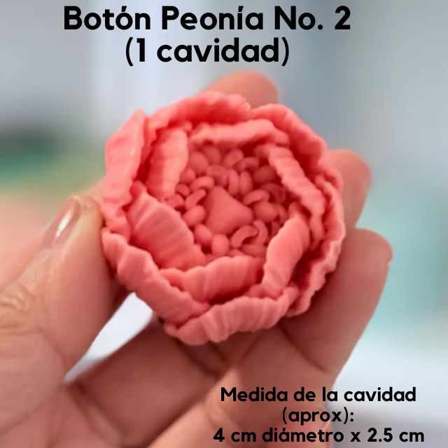 Moldes de Silicon  (1)