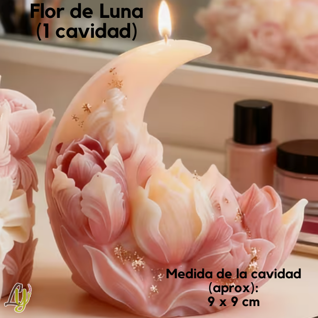 Moldes de Silicon  (1)