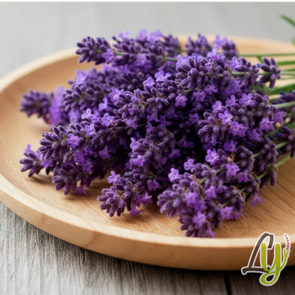Aromas para vela