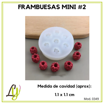 Moldes de Silicon (2)