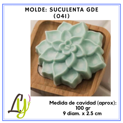 Moldes PVC cristal (2)