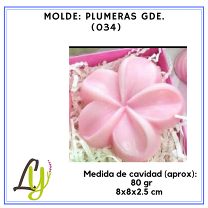 Moldes PVC cristal (2)