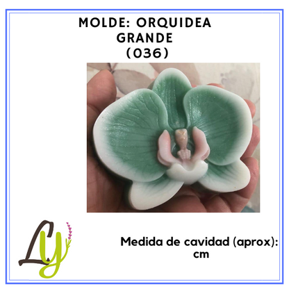 Moldes PVC cristal (2)