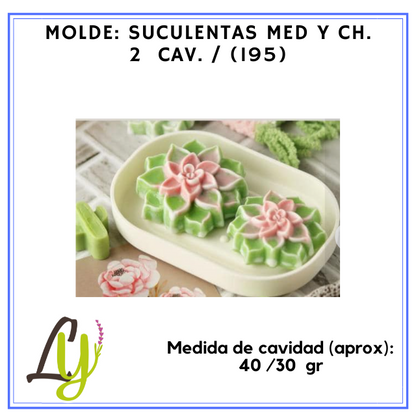 Moldes PVC cristal (2)